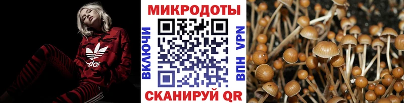 Купить  Сургут  Псилоцибиновые грибы Cubensis 